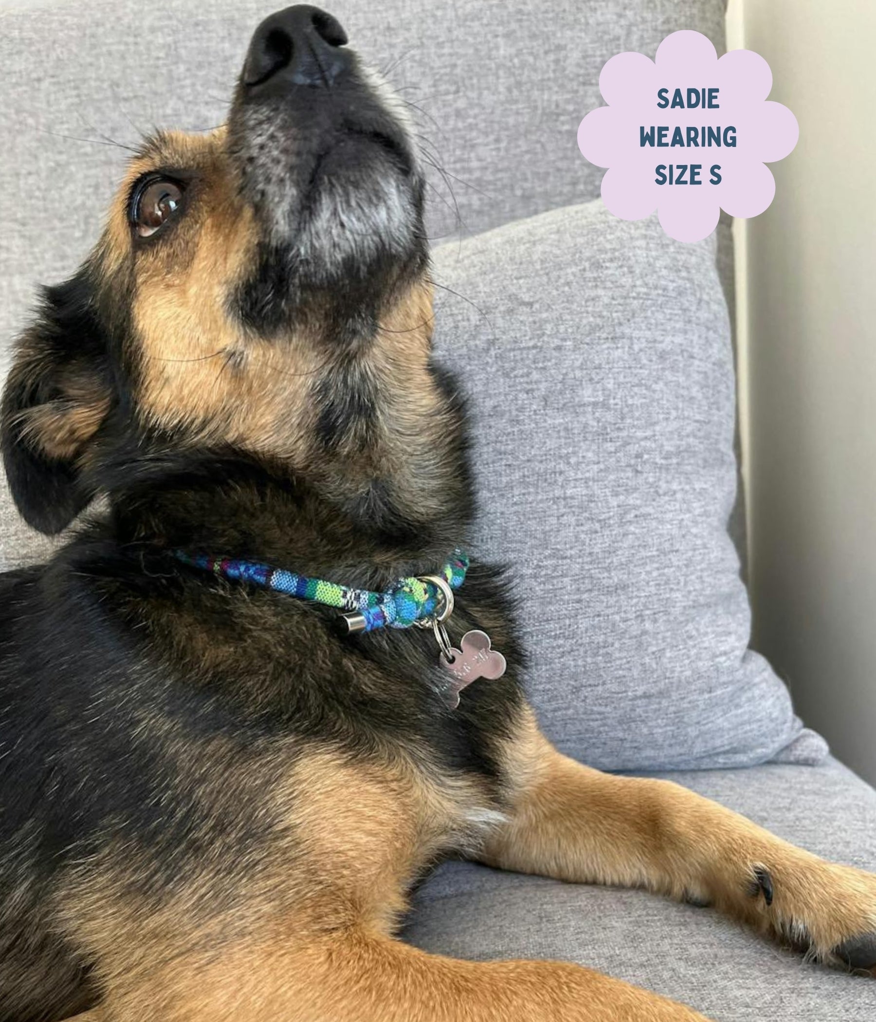 Boho House Collar - Lagoon