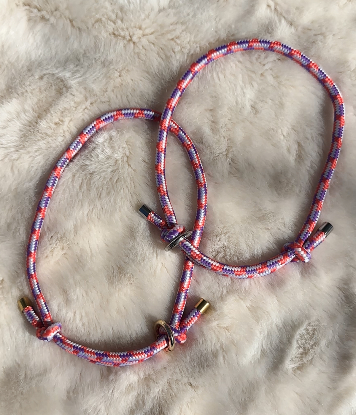 House Collar - Cosmopolitan