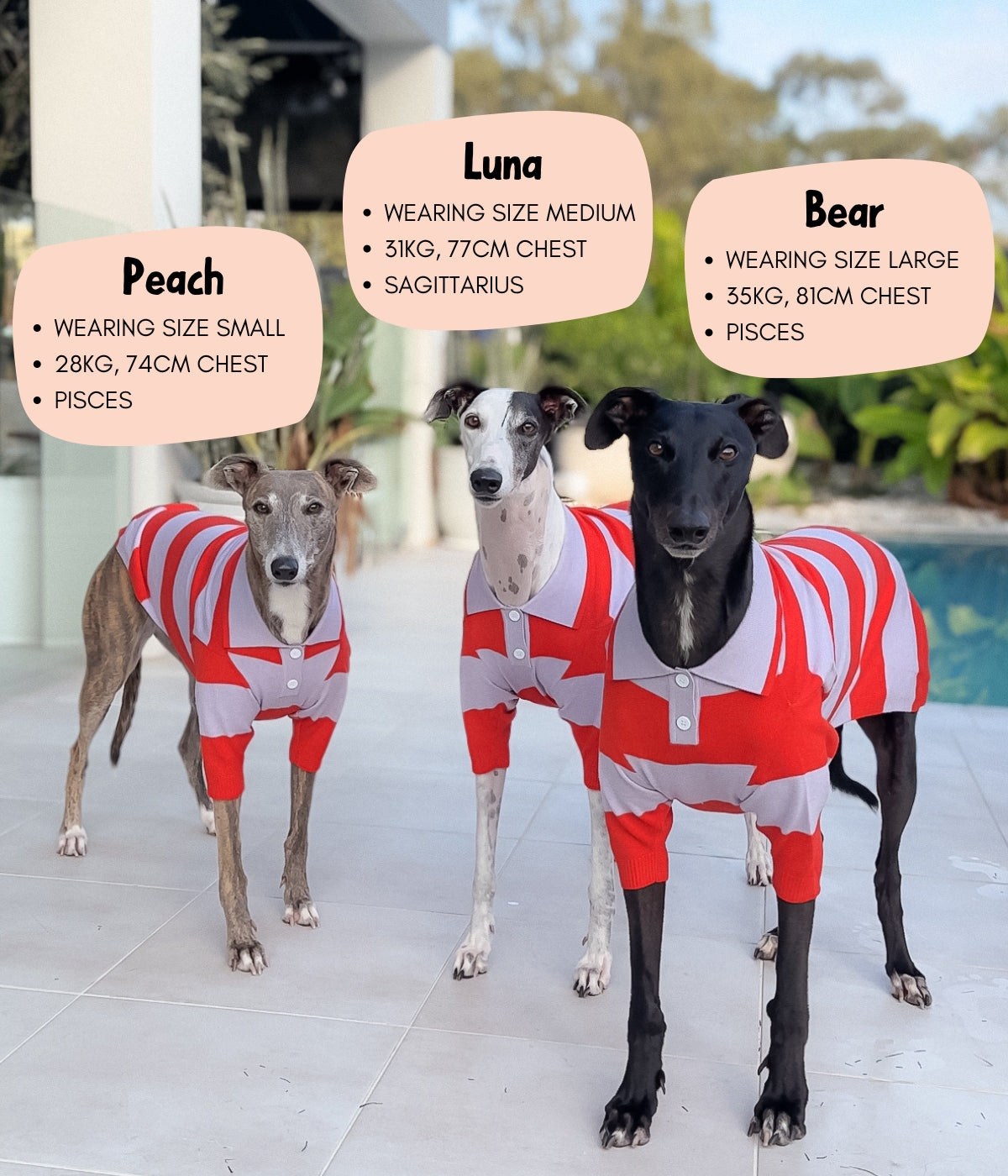 Polo Shirt - Red Rocket