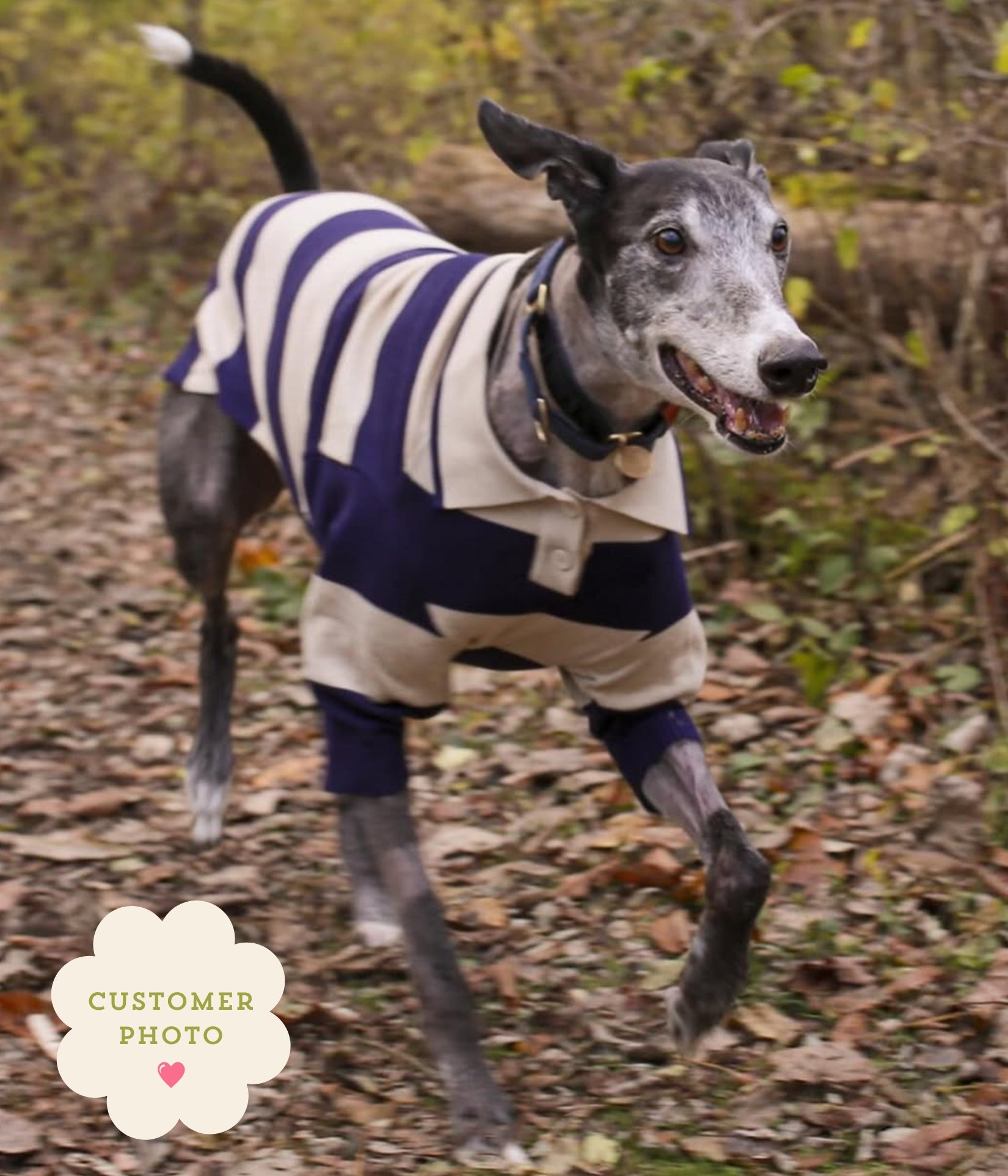 Polo Shirt - Old Money Navy