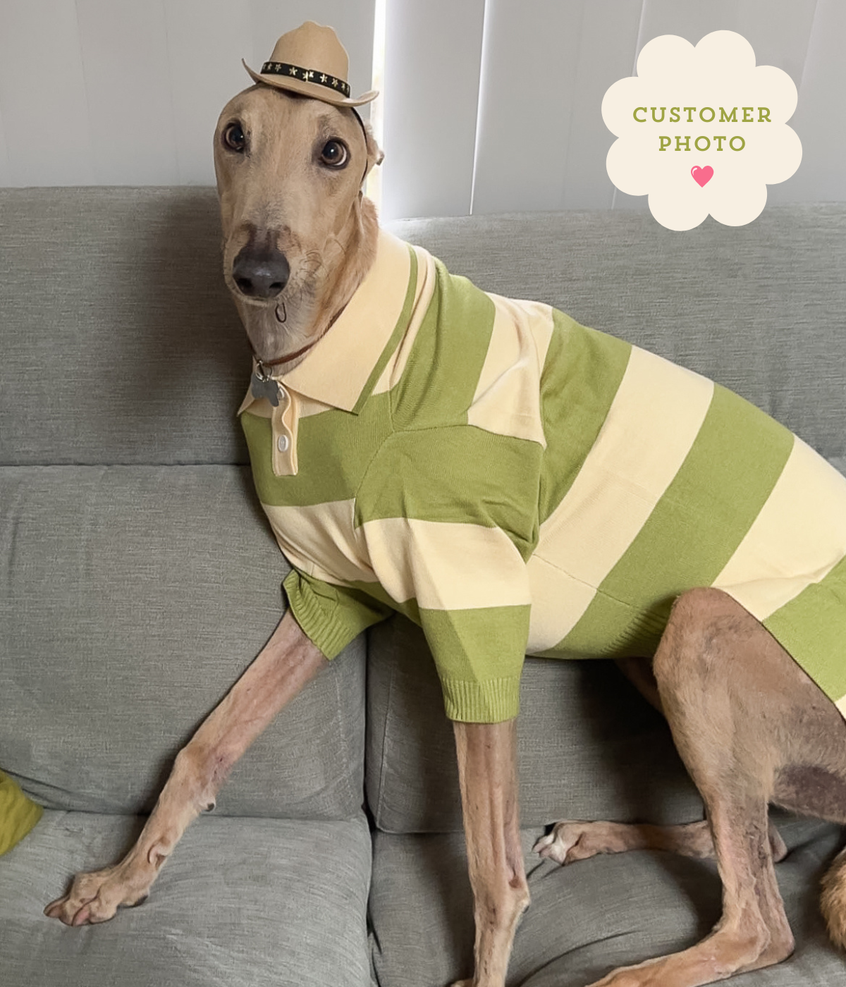 Green Eggs and Ham Polo