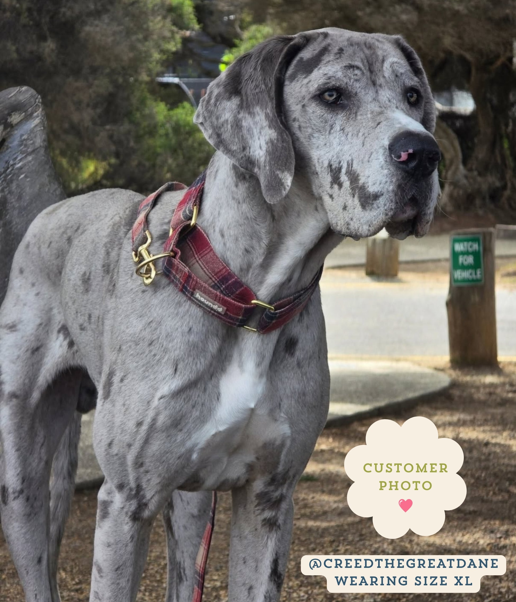Martingale Collar - Tartan