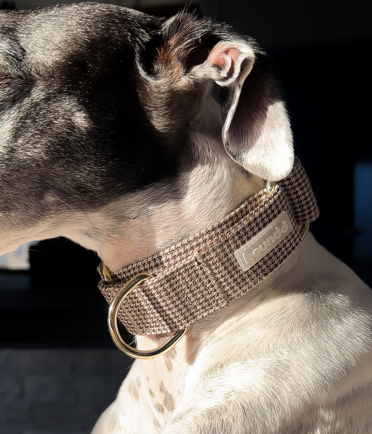 Martingale Collar - Hounddstooth