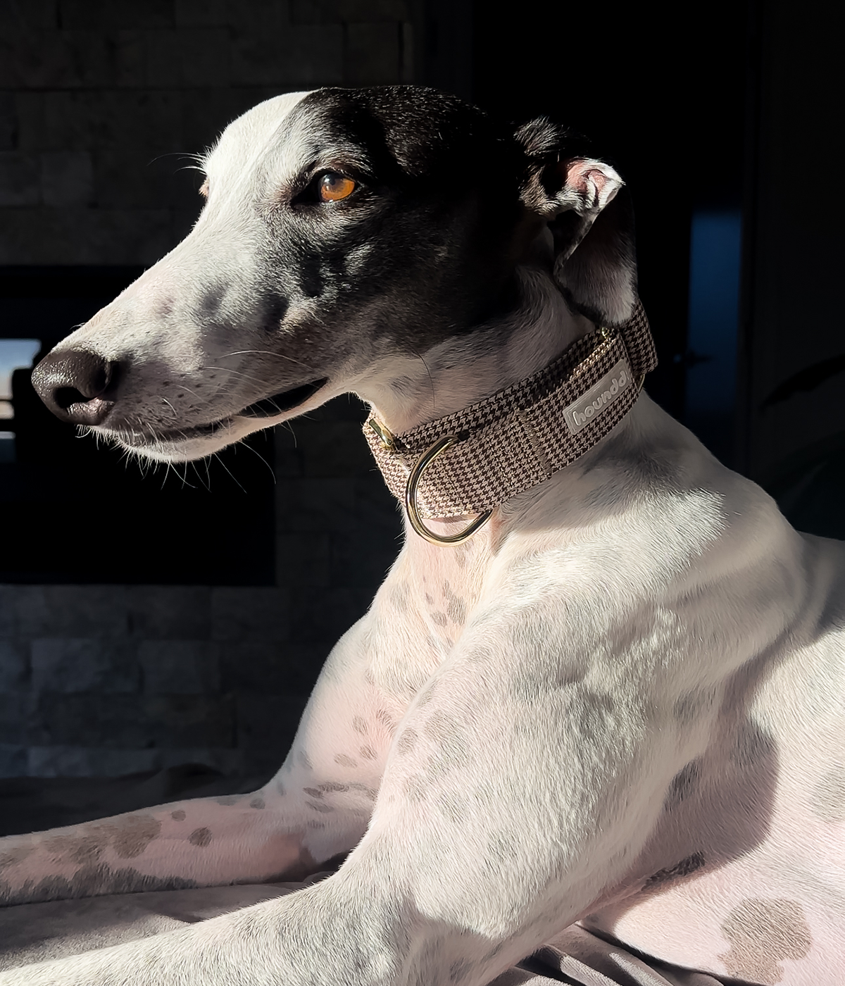 Martingale Collar - Hounddstooth