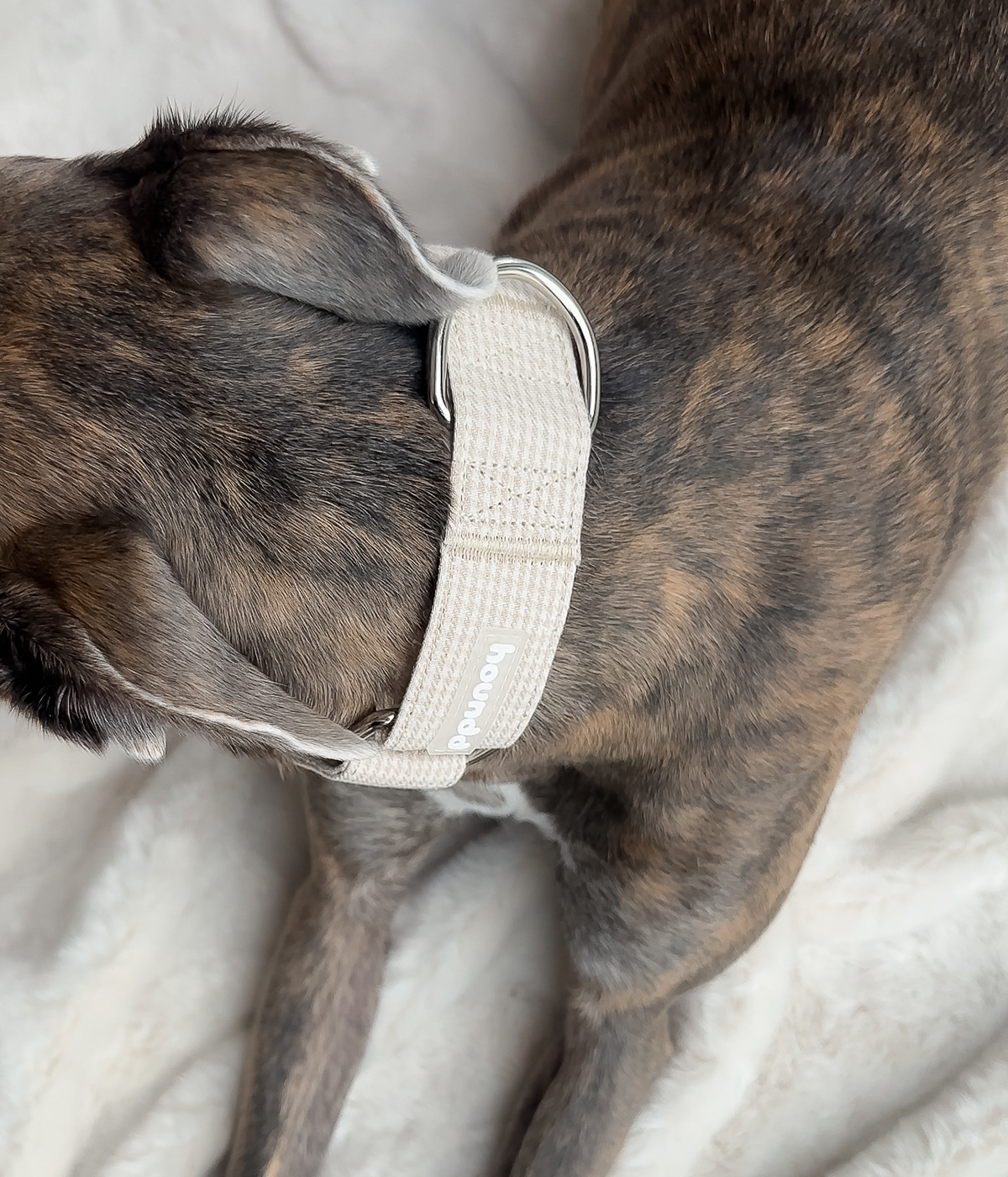 Martingale Collar - Hounddstooth