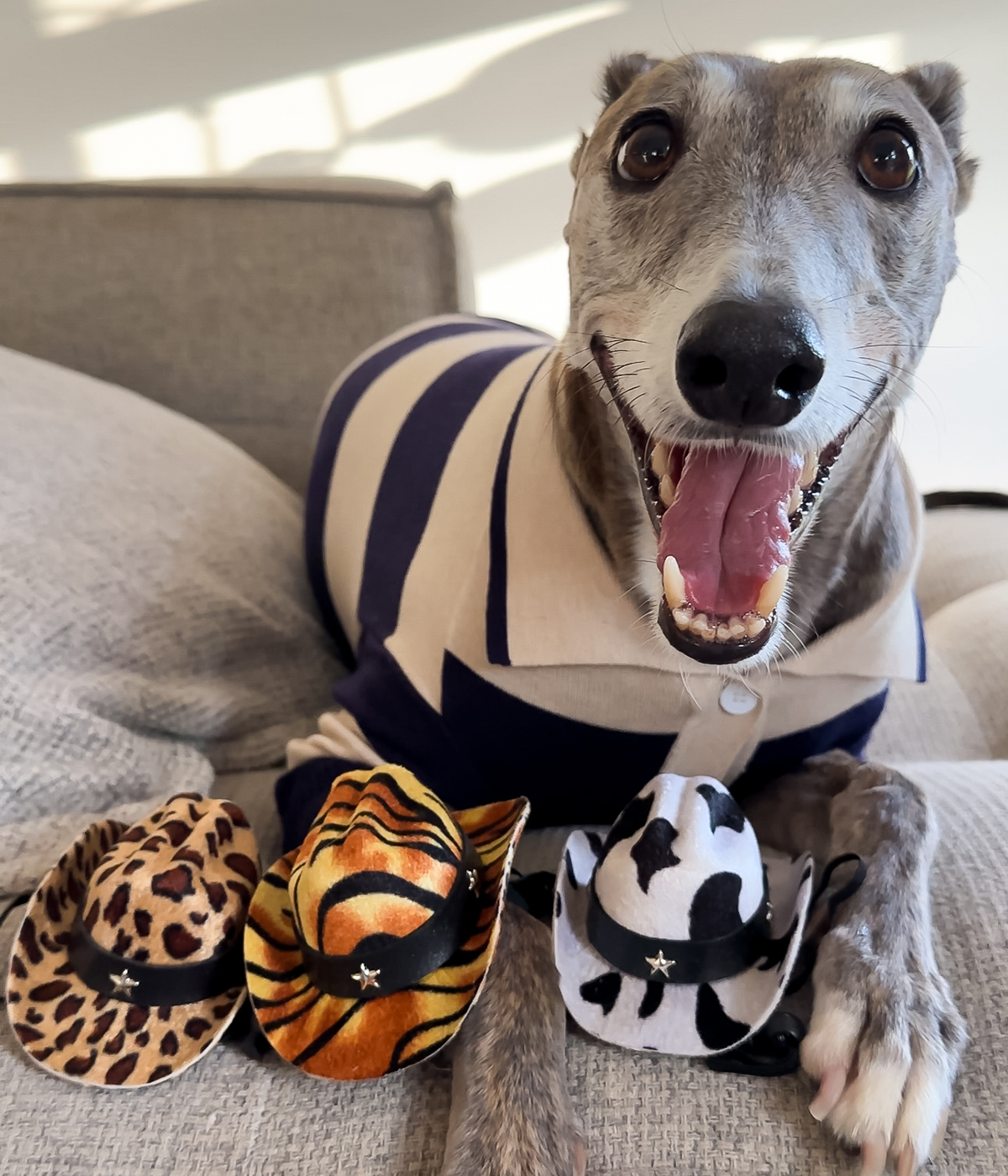 Cowboy Hat - Cow Print