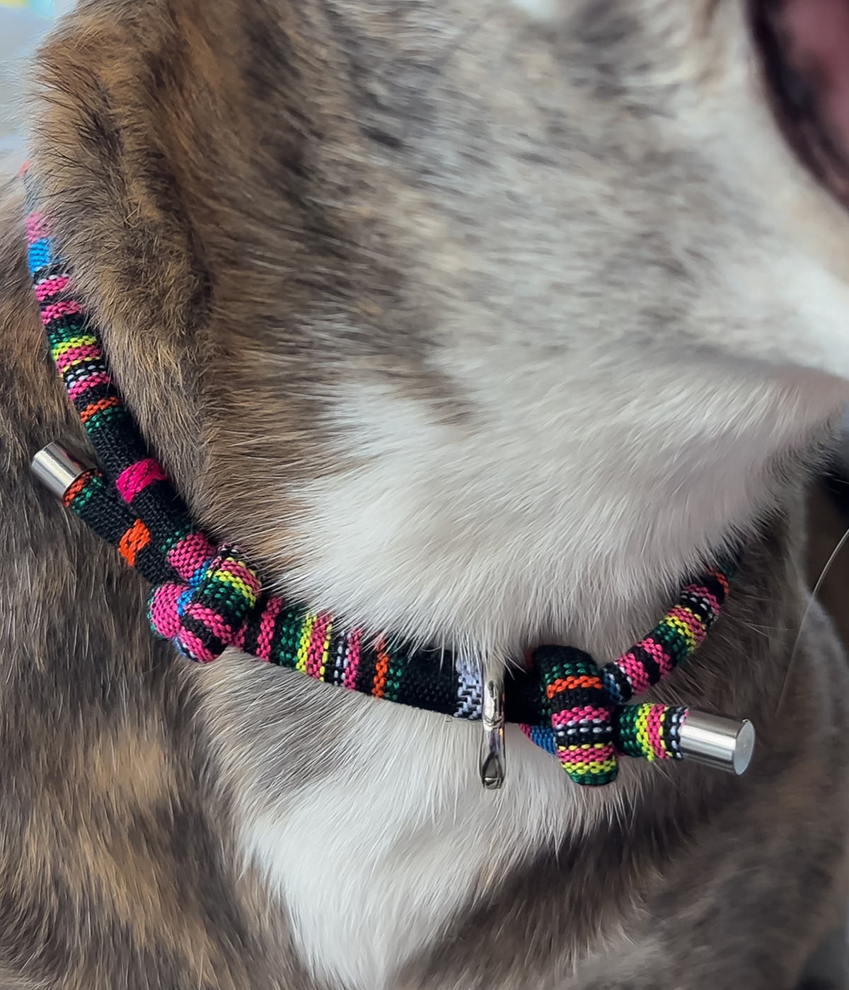 Boho House Collar - Aurora