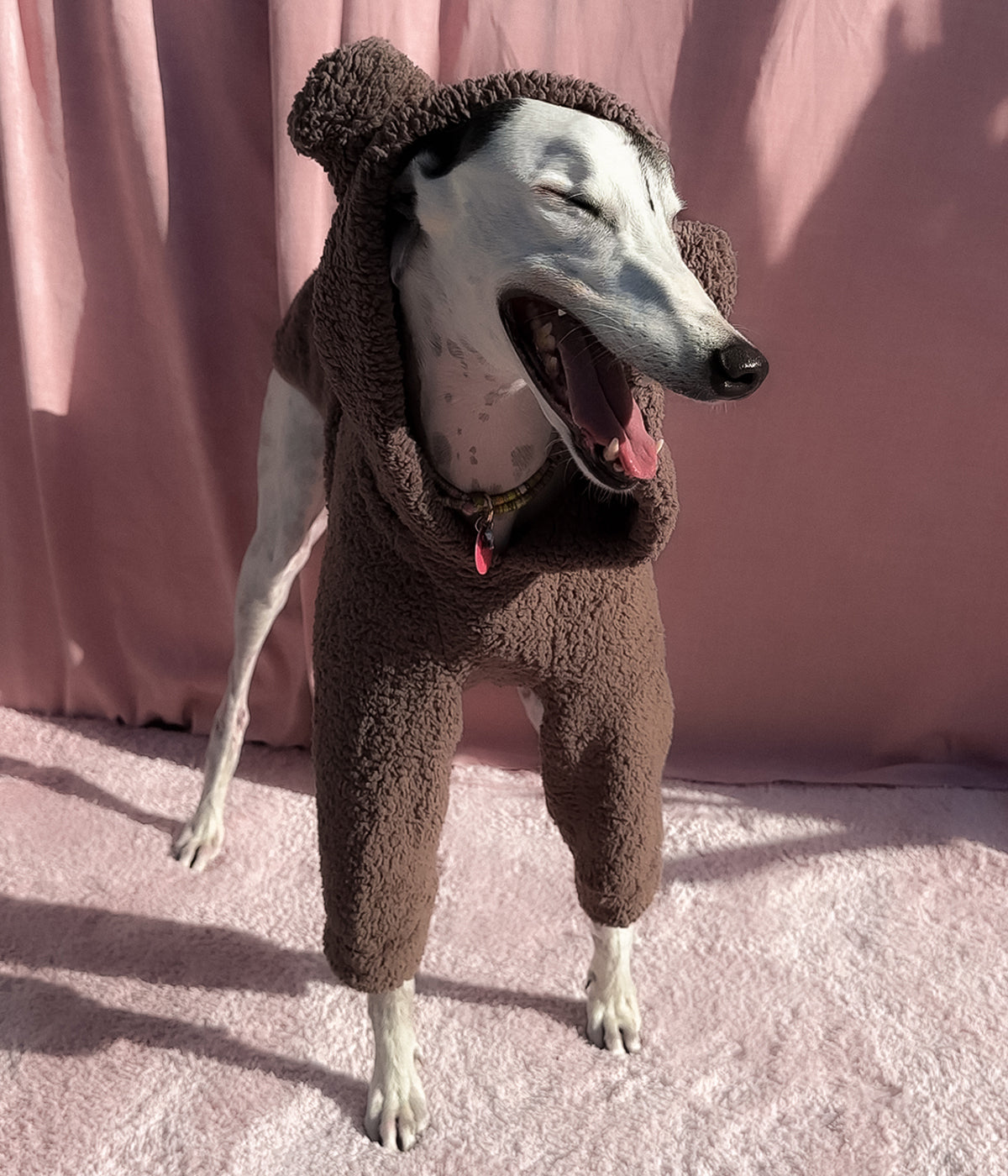 The Bear Hoodie