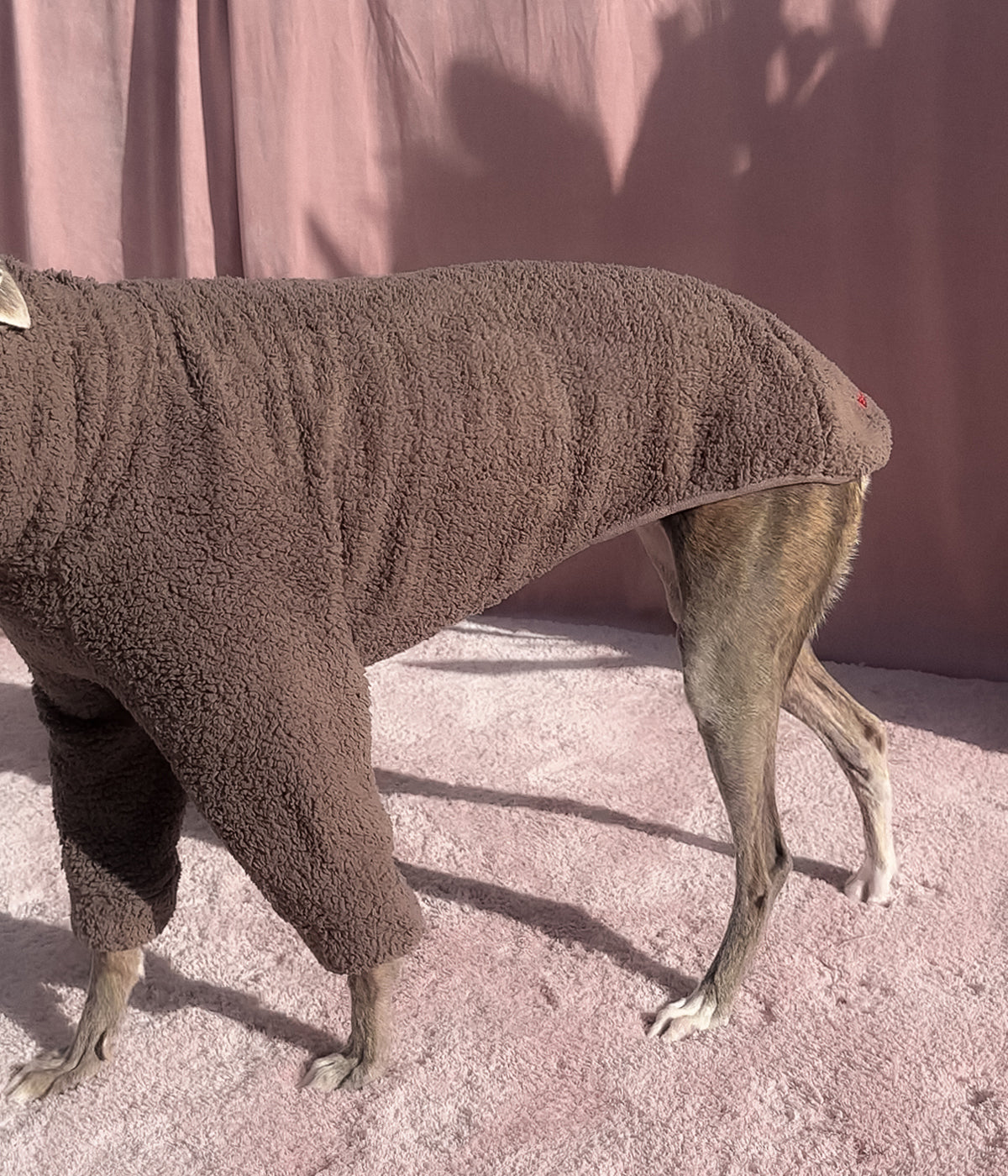 The Bear Hoodie