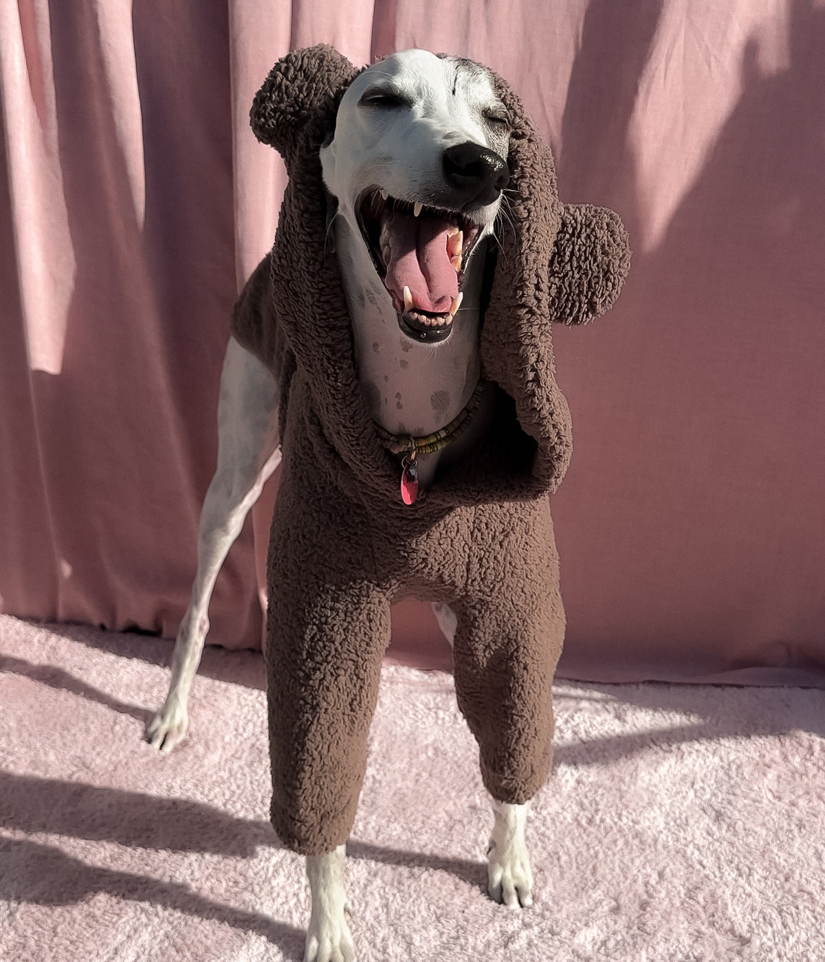 The Bear Hoodie