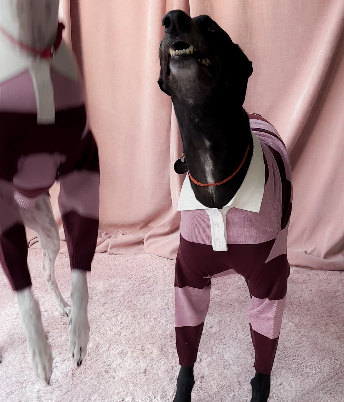Berry Nice Polo