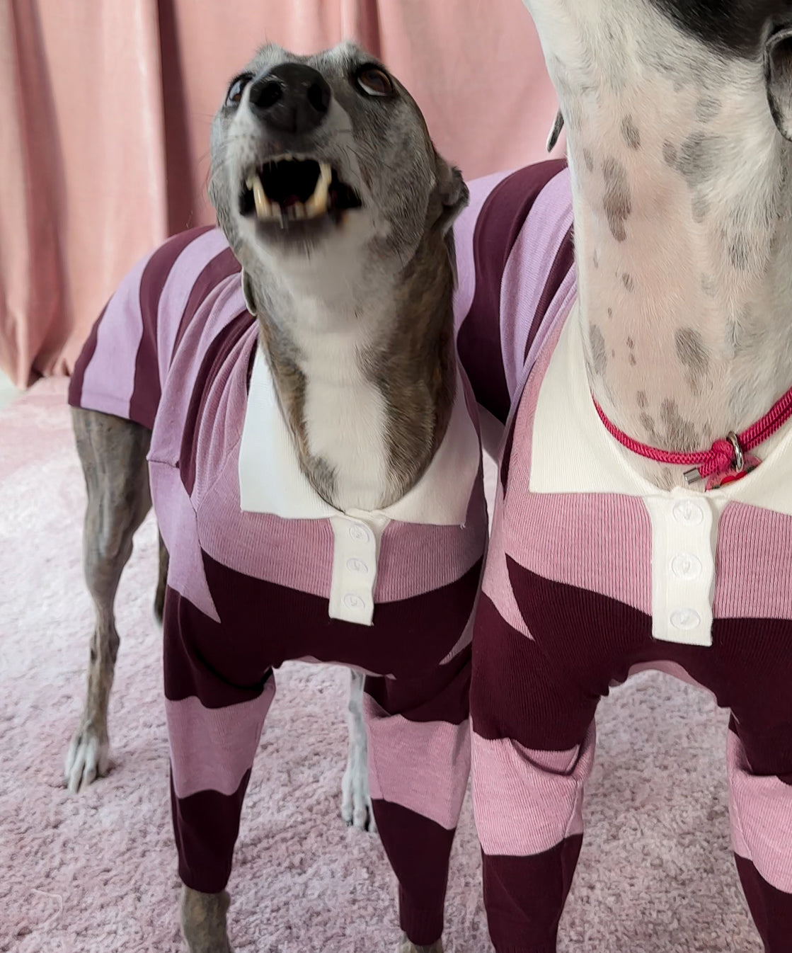 Berry Nice Polo