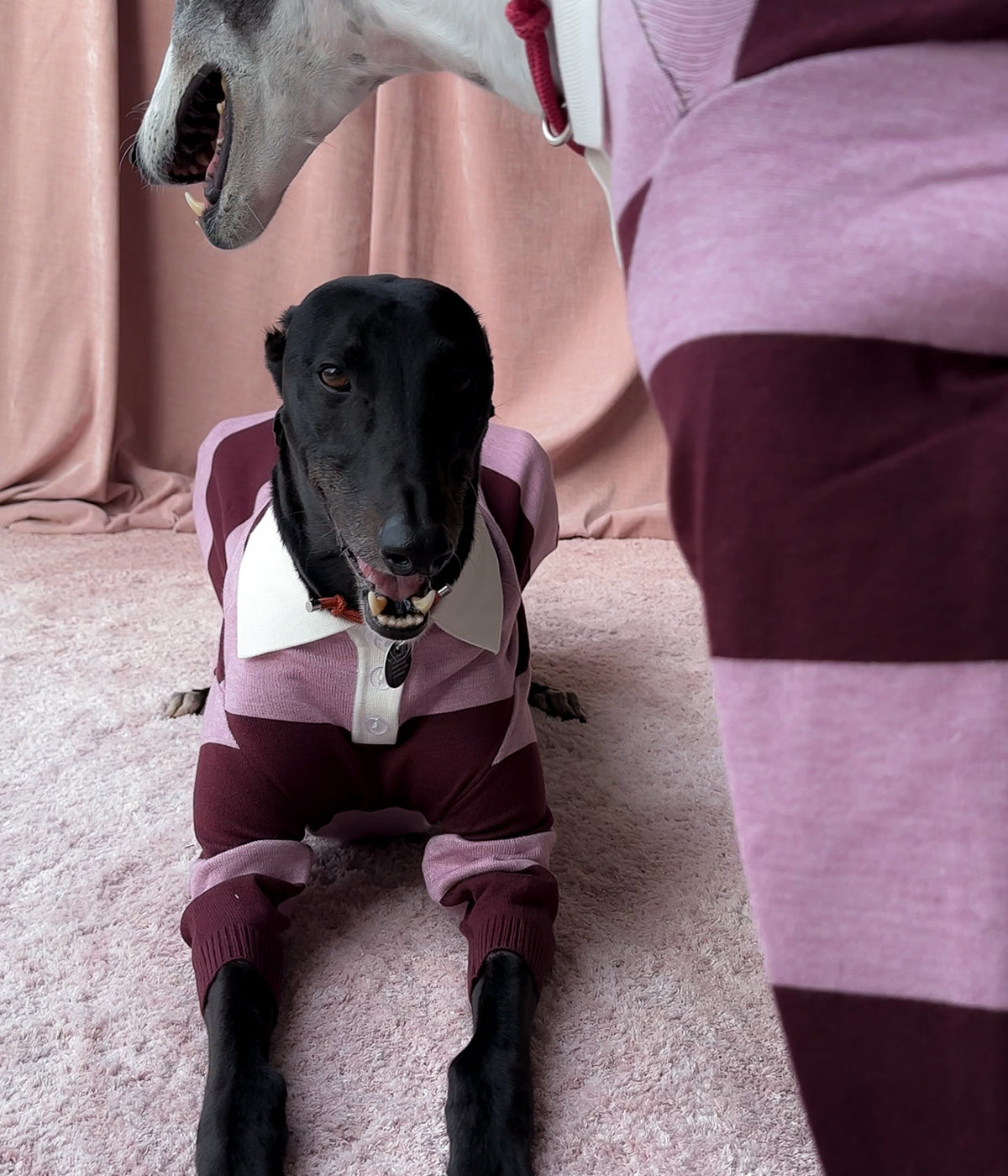 Berry Nice Polo