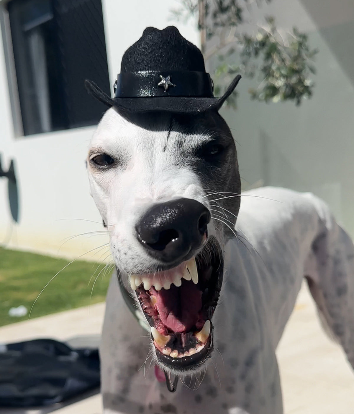 Cowboy Hat - Black