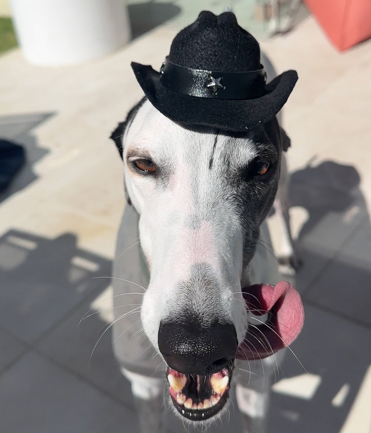 Cowboy Hat - Black