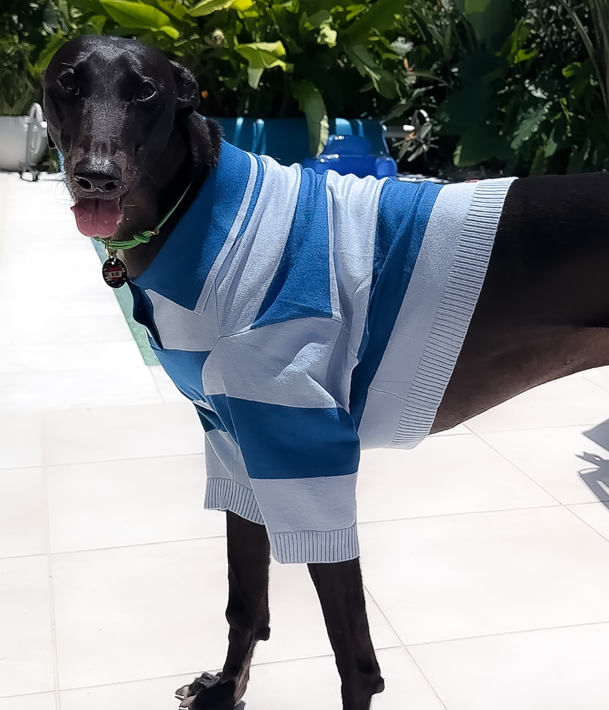 Polo Crop Top - Malibu Blue