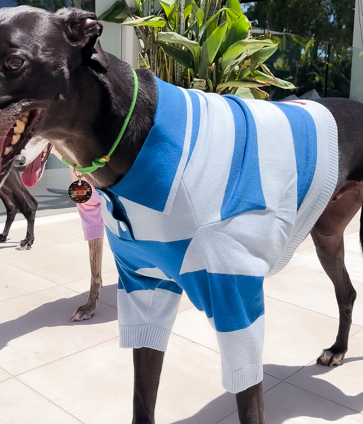 Polo Crop Top - Malibu Blue
