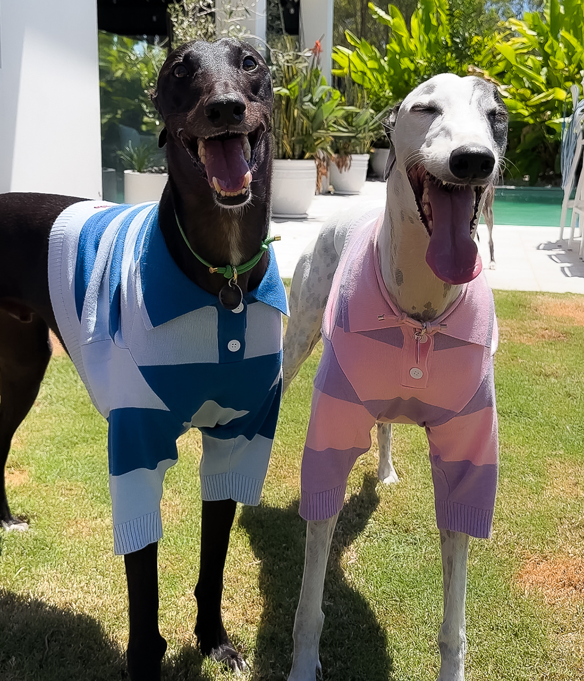 Polo Crop Top - Dreamhouse Pink