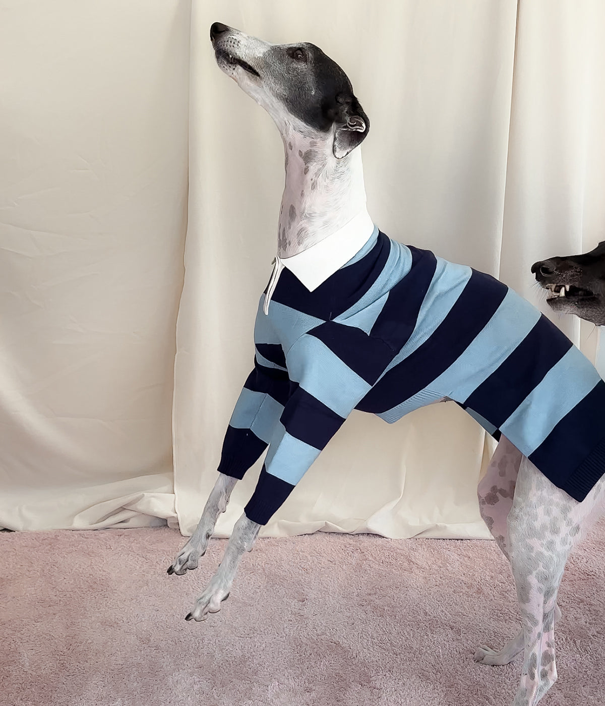 Blues Polo