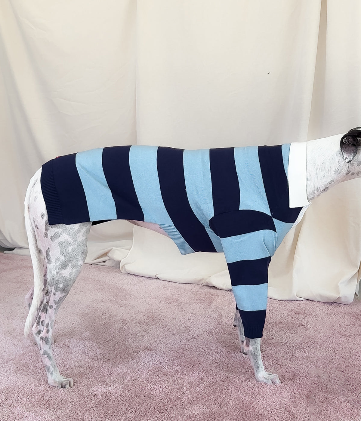 Blues Polo