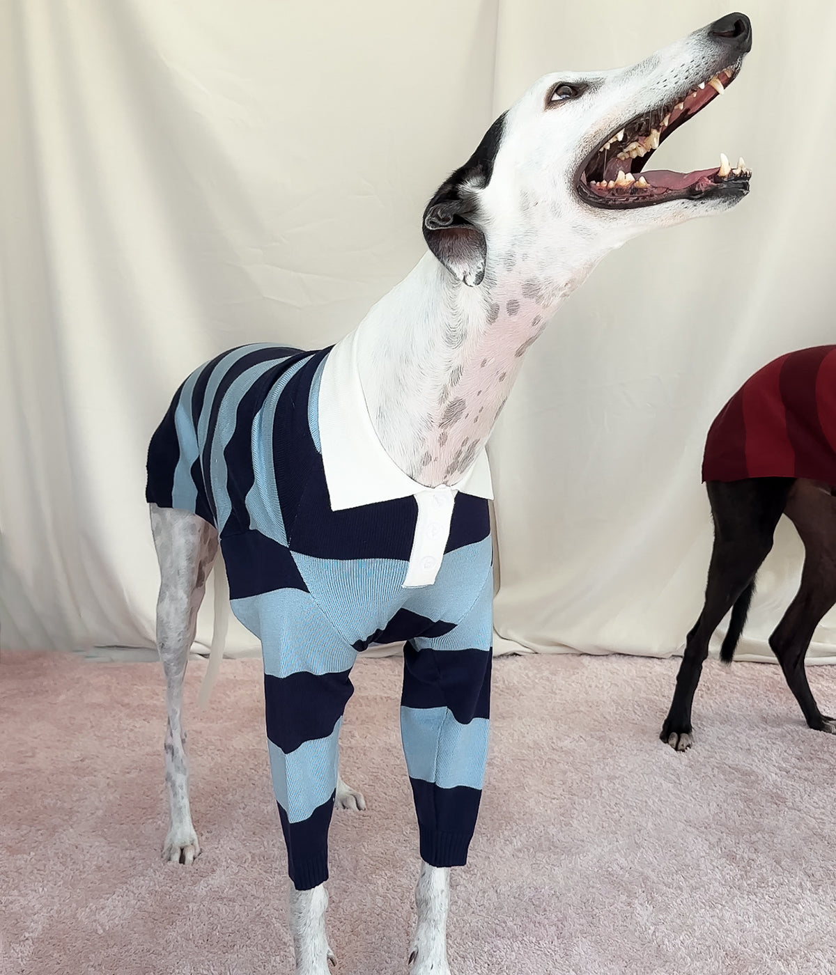 Blues Polo