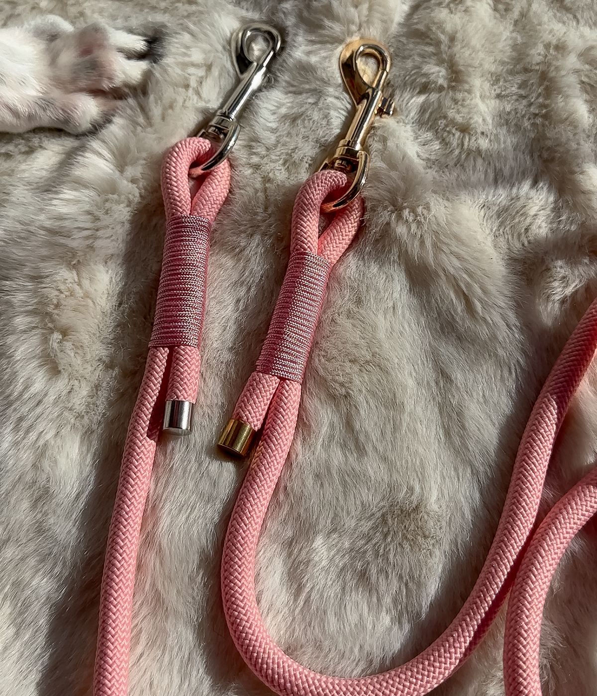 Rope Dog Lead