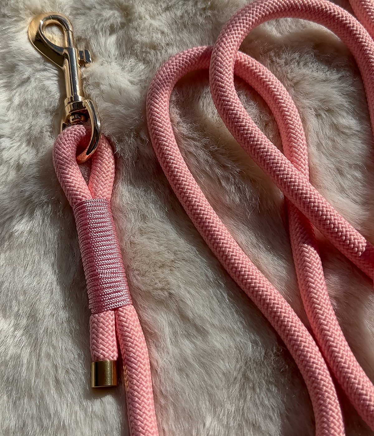 Rope Dog Lead