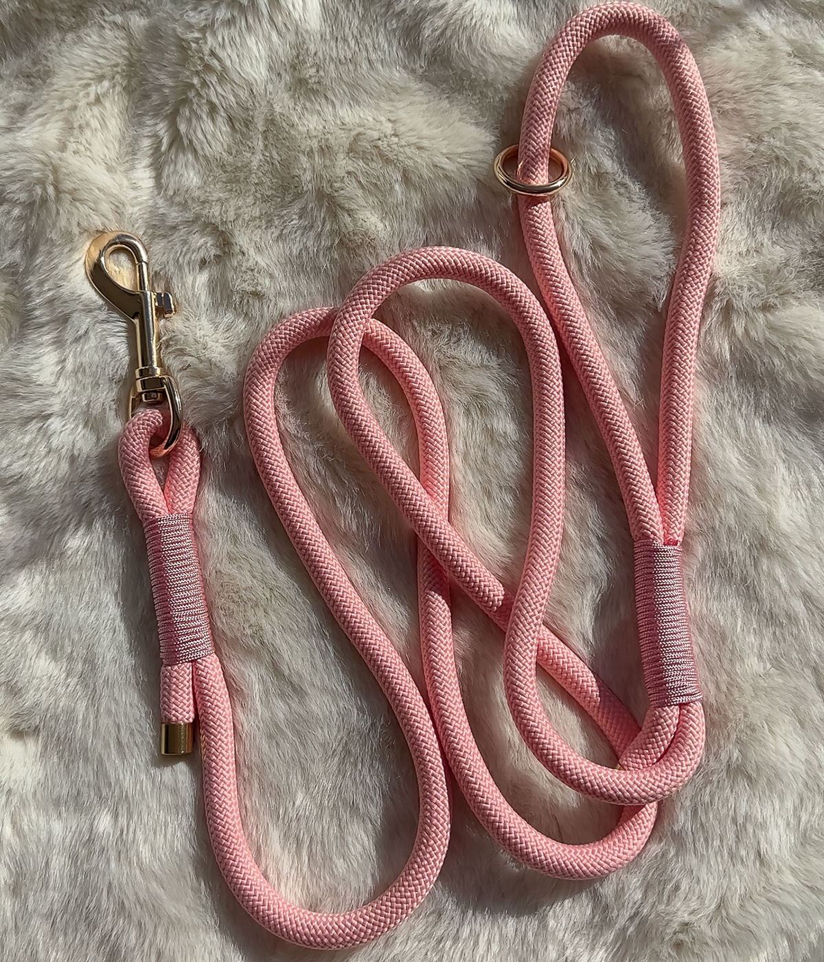Rope Dog Lead