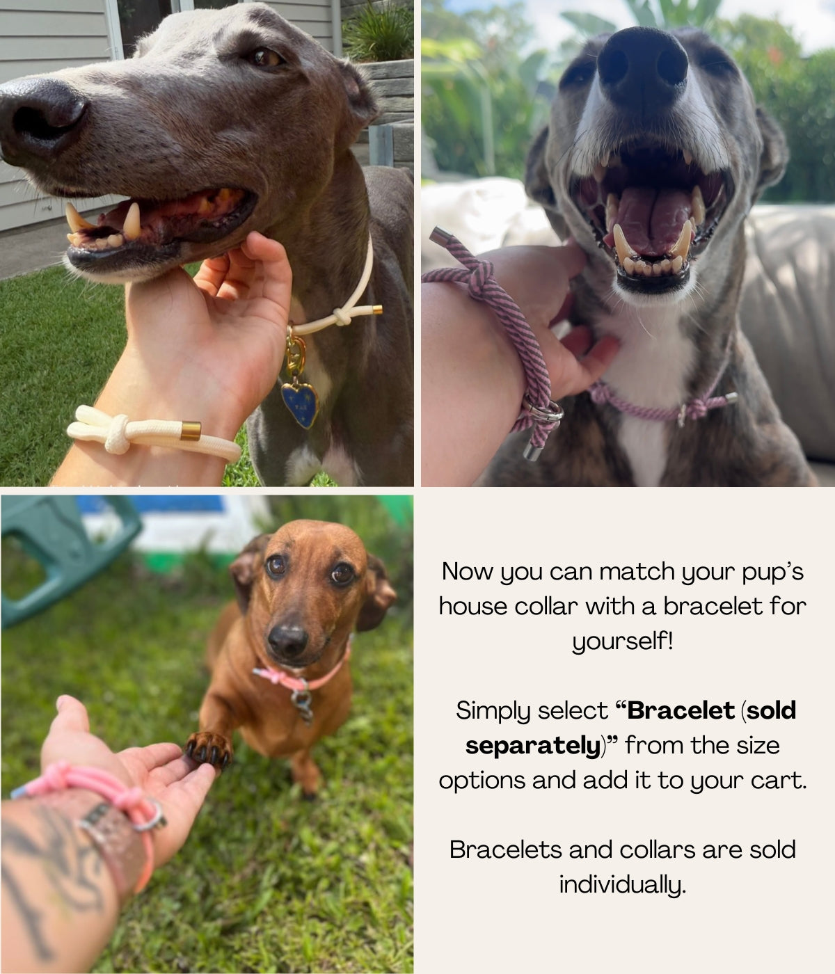 House Collar - Indigo