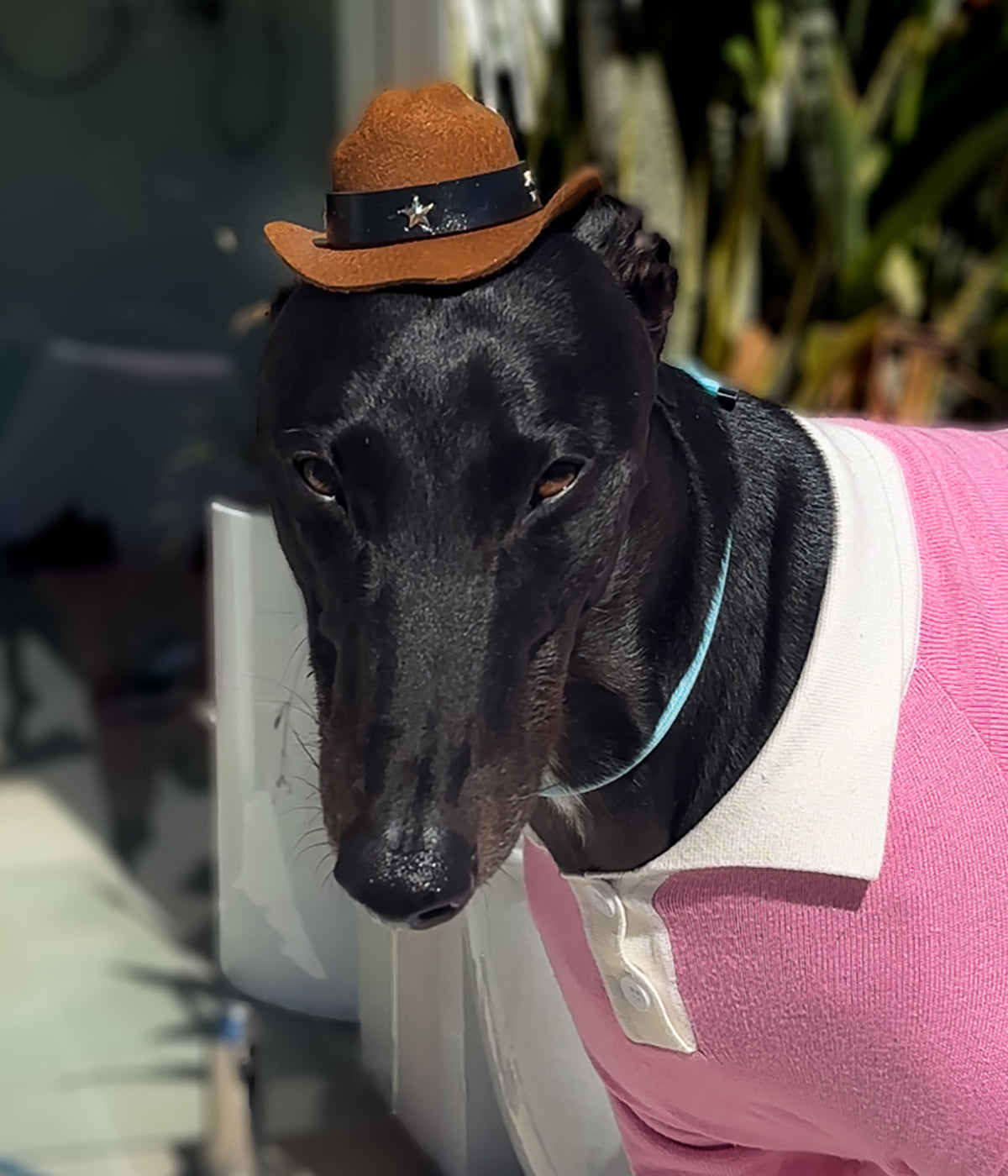 Cowboy Hat - Brown