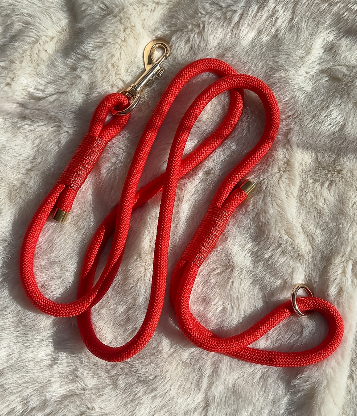 Rope Dog Lead