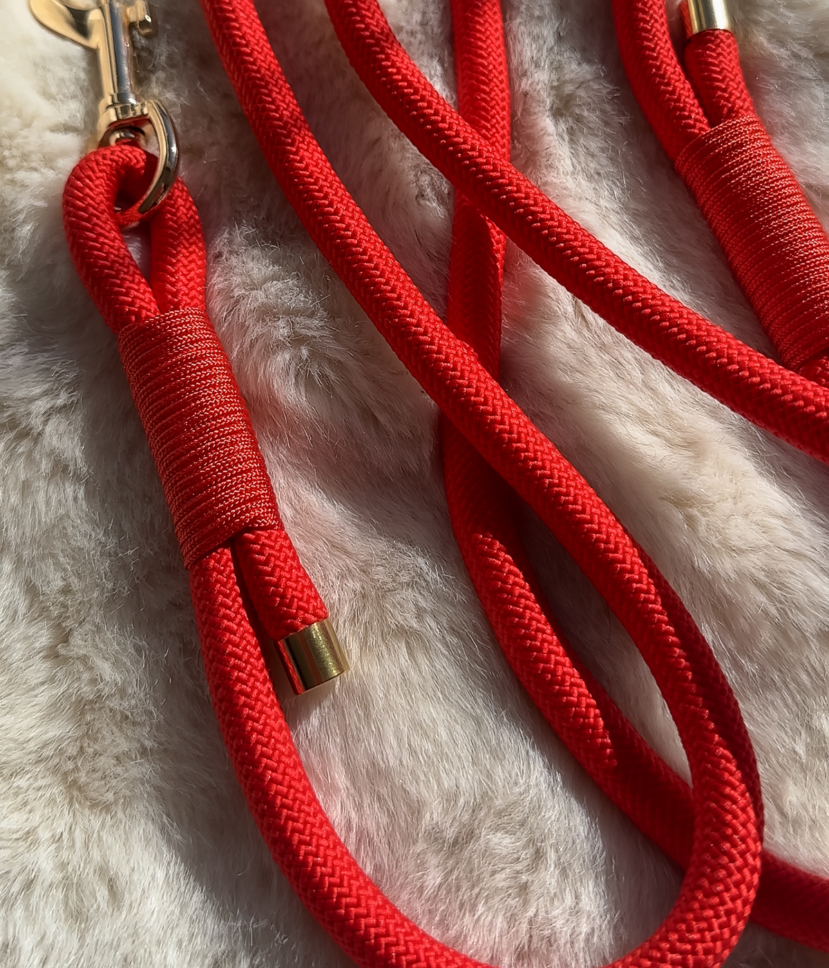 Rope Dog Lead