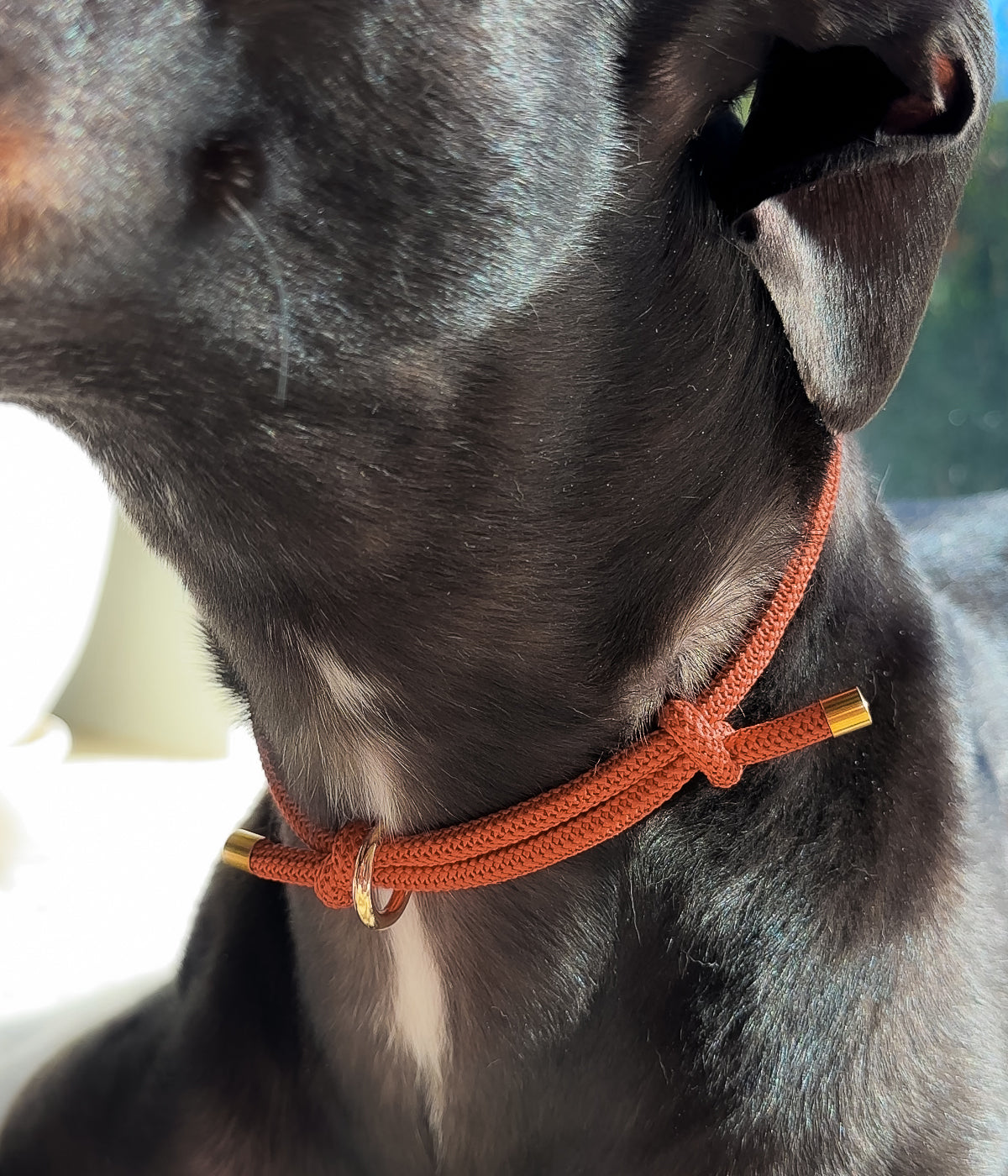 Waffle House Collar - Clay
