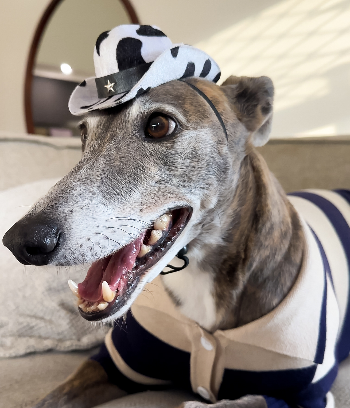 Cowboy Hat - Cow Print