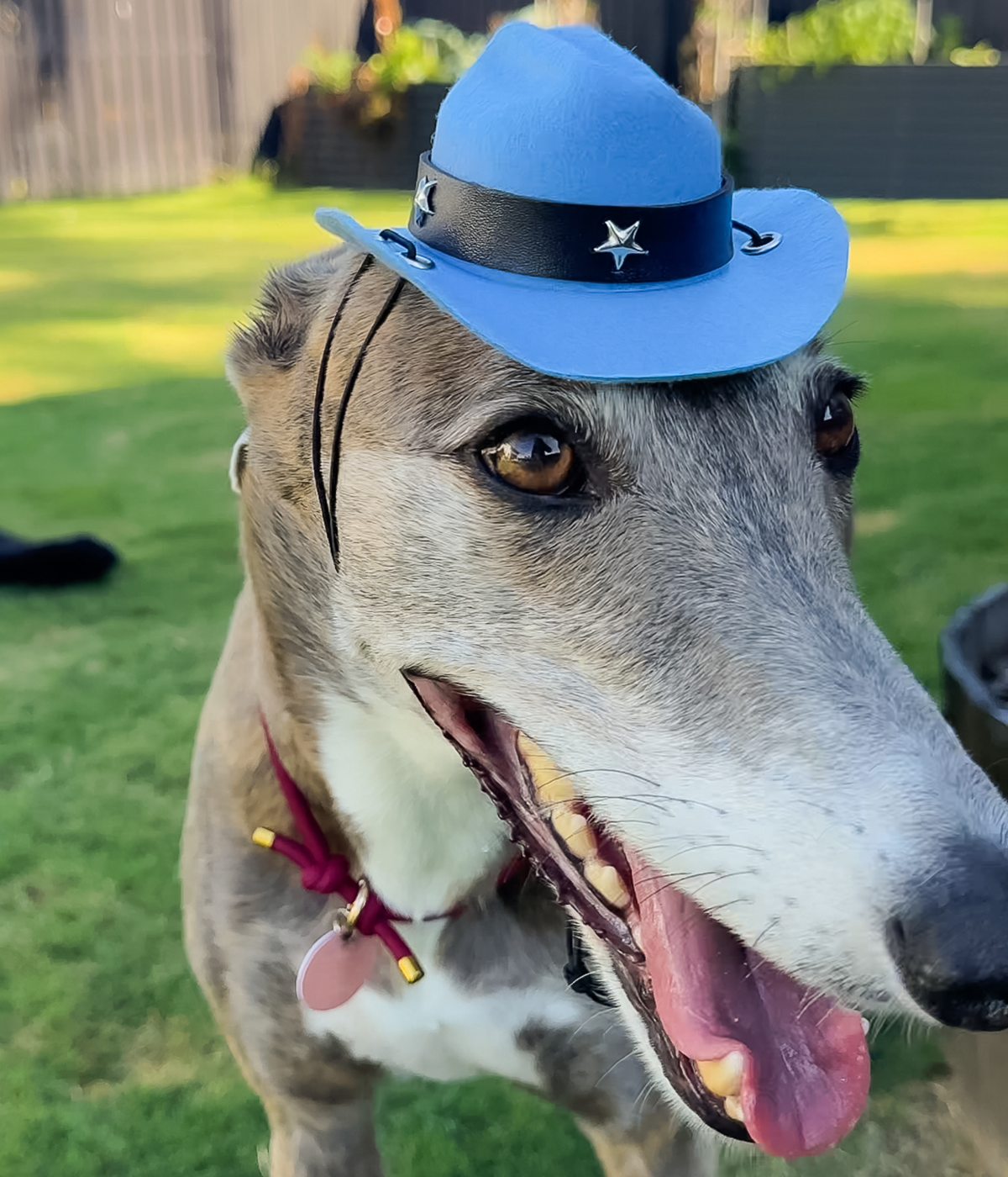 Cowboy Hat - Blue