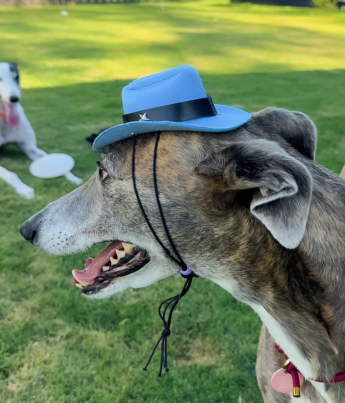 Cowboy Hat - Blue