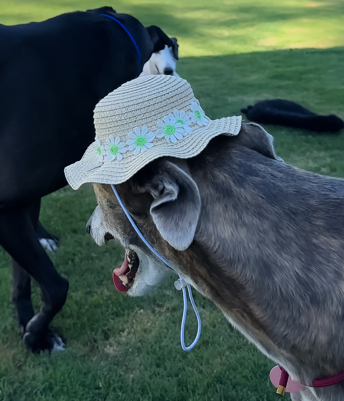 Floppy Sun Hat