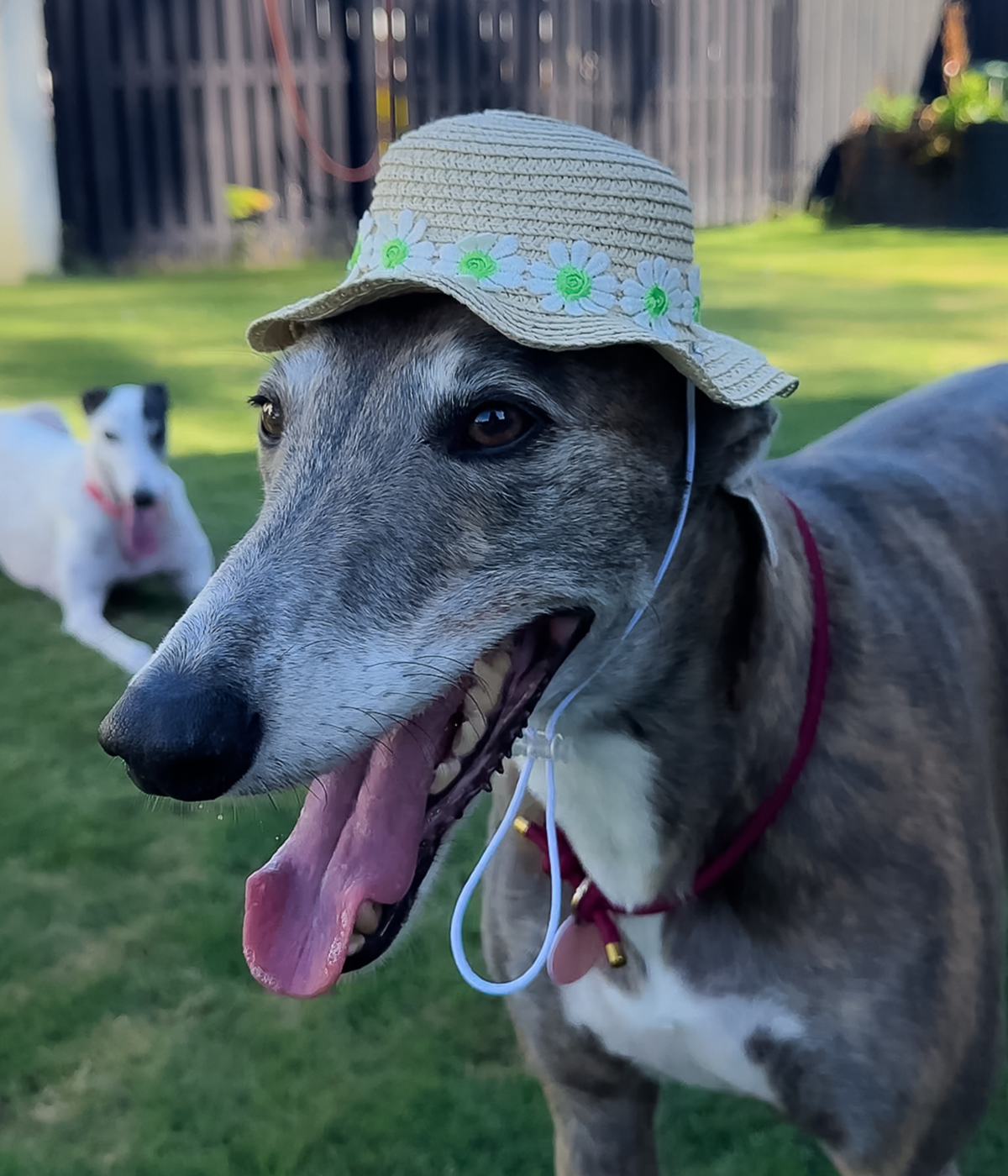 Floppy Sun Hat