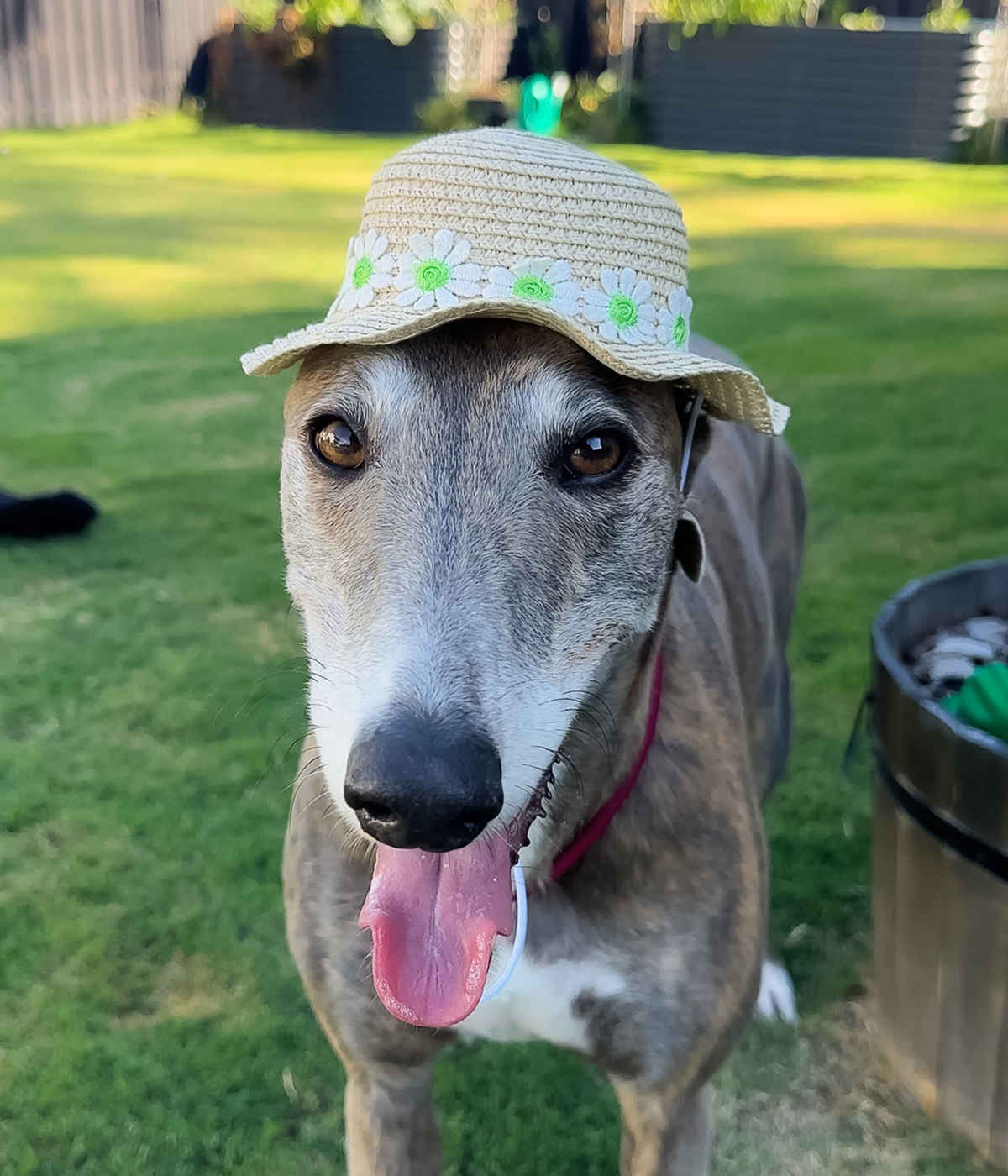 Floppy Sun Hat