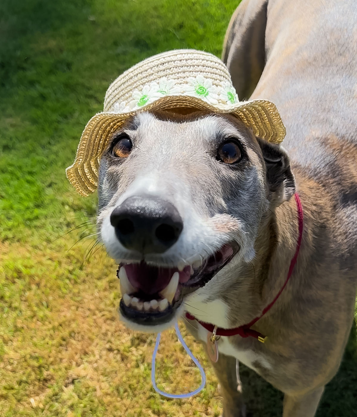 Sun Hat