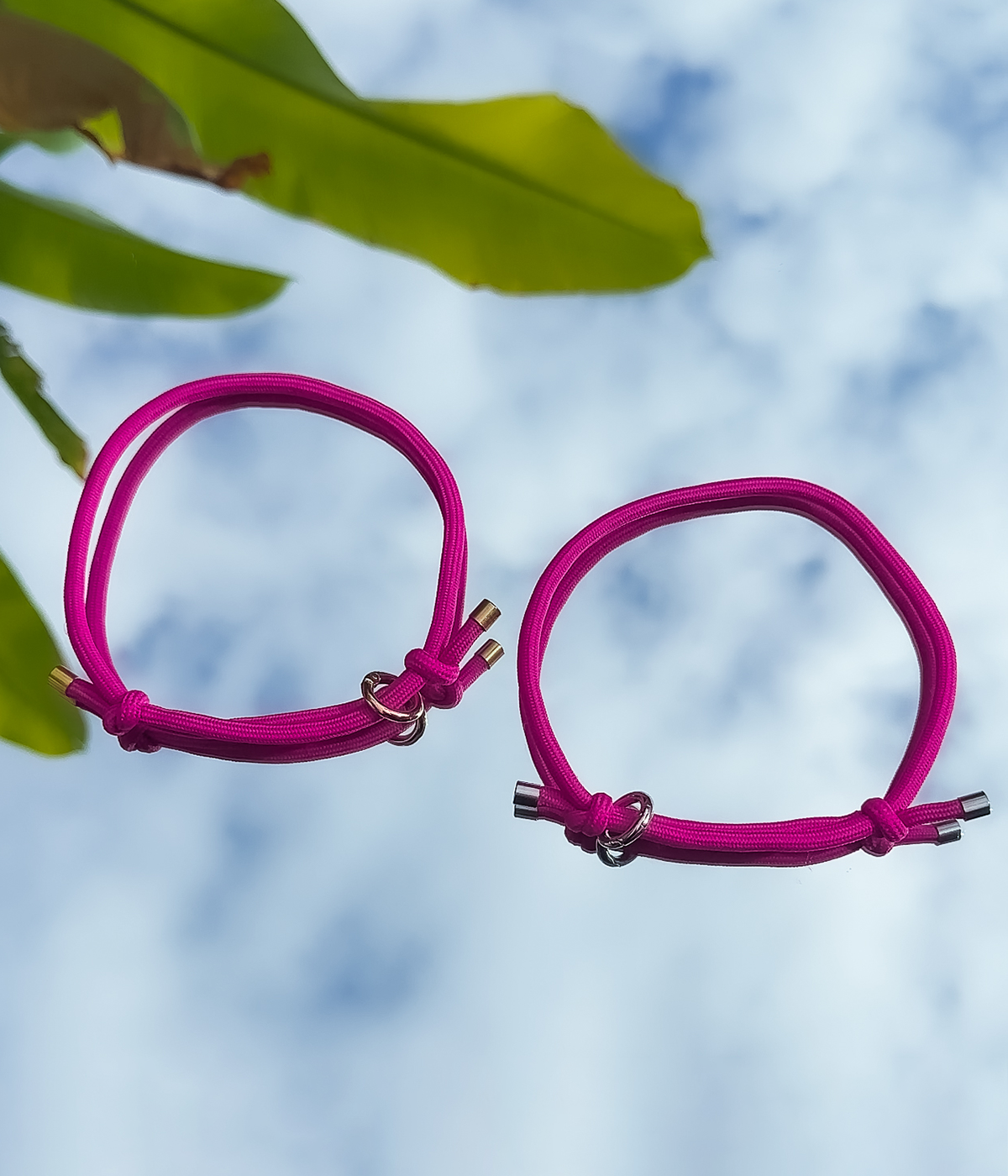 House Collar - Dragonfruit