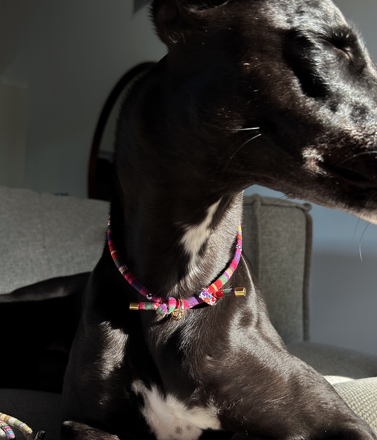 Boho House Collar - Dusk