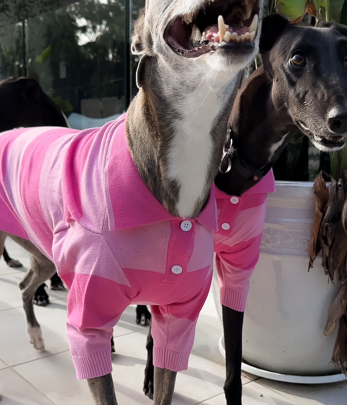 Elle Woods Pink Polo