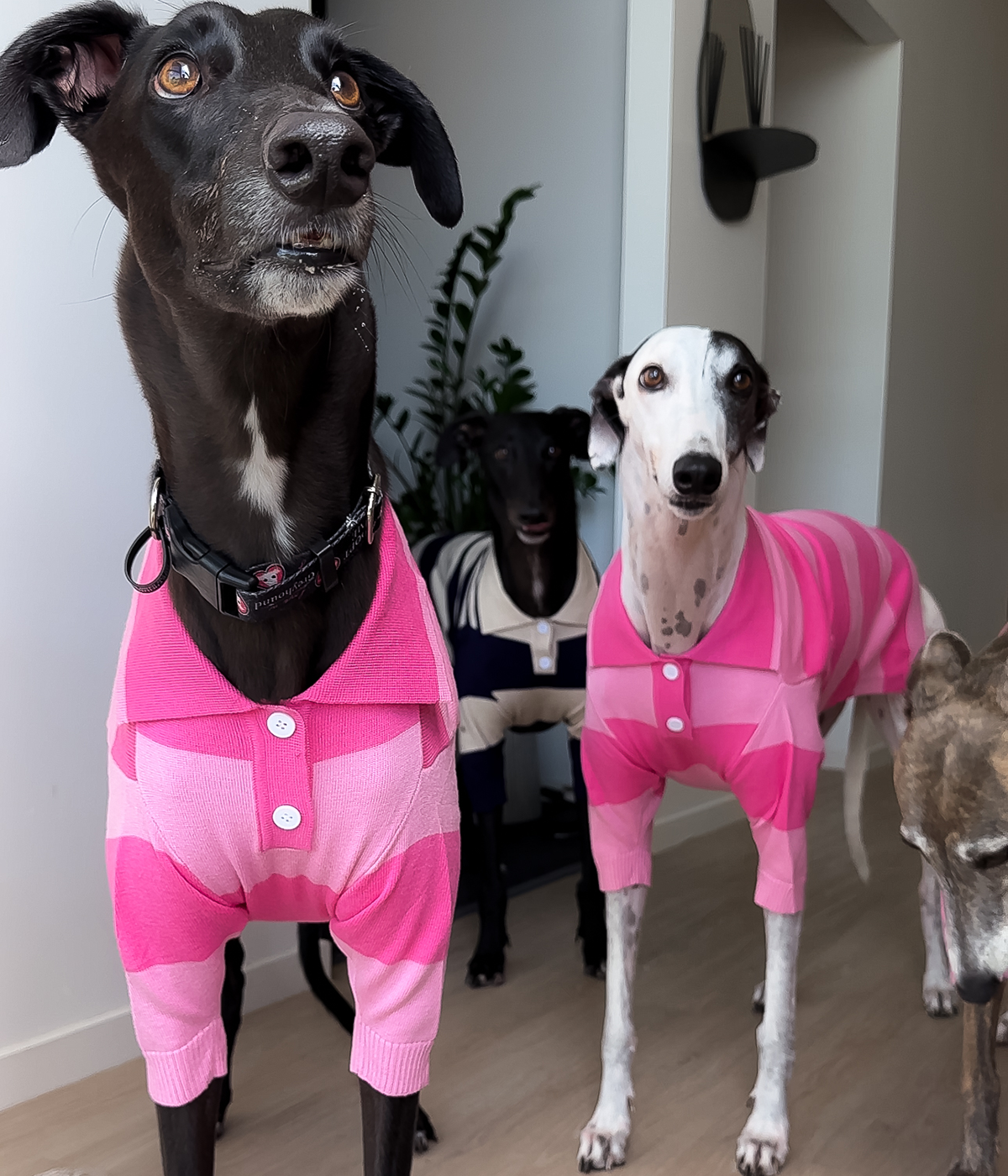 Elle Woods Pink Polo