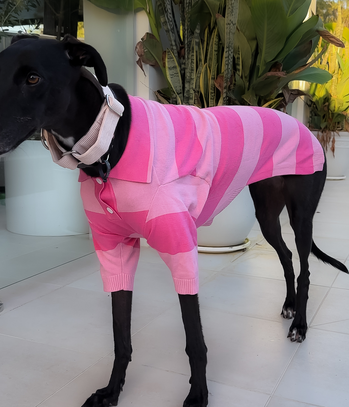 Elle Woods Pink Polo