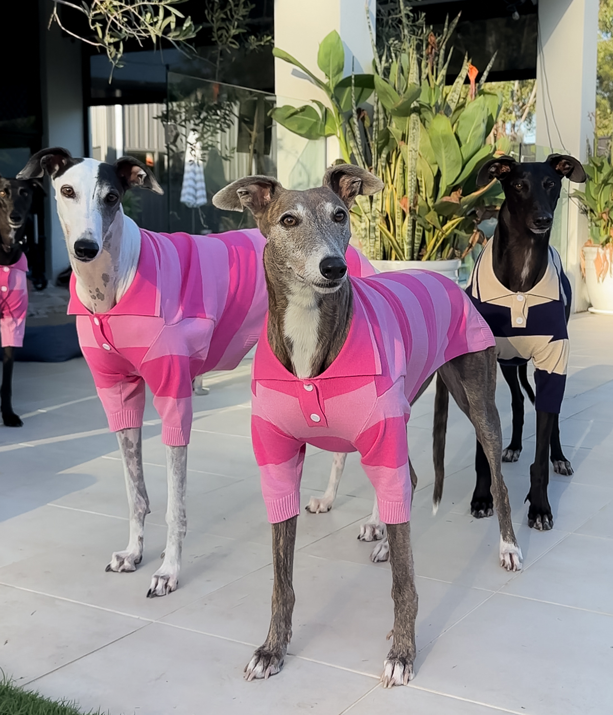 Polo Shirt - Elle Woods Pink