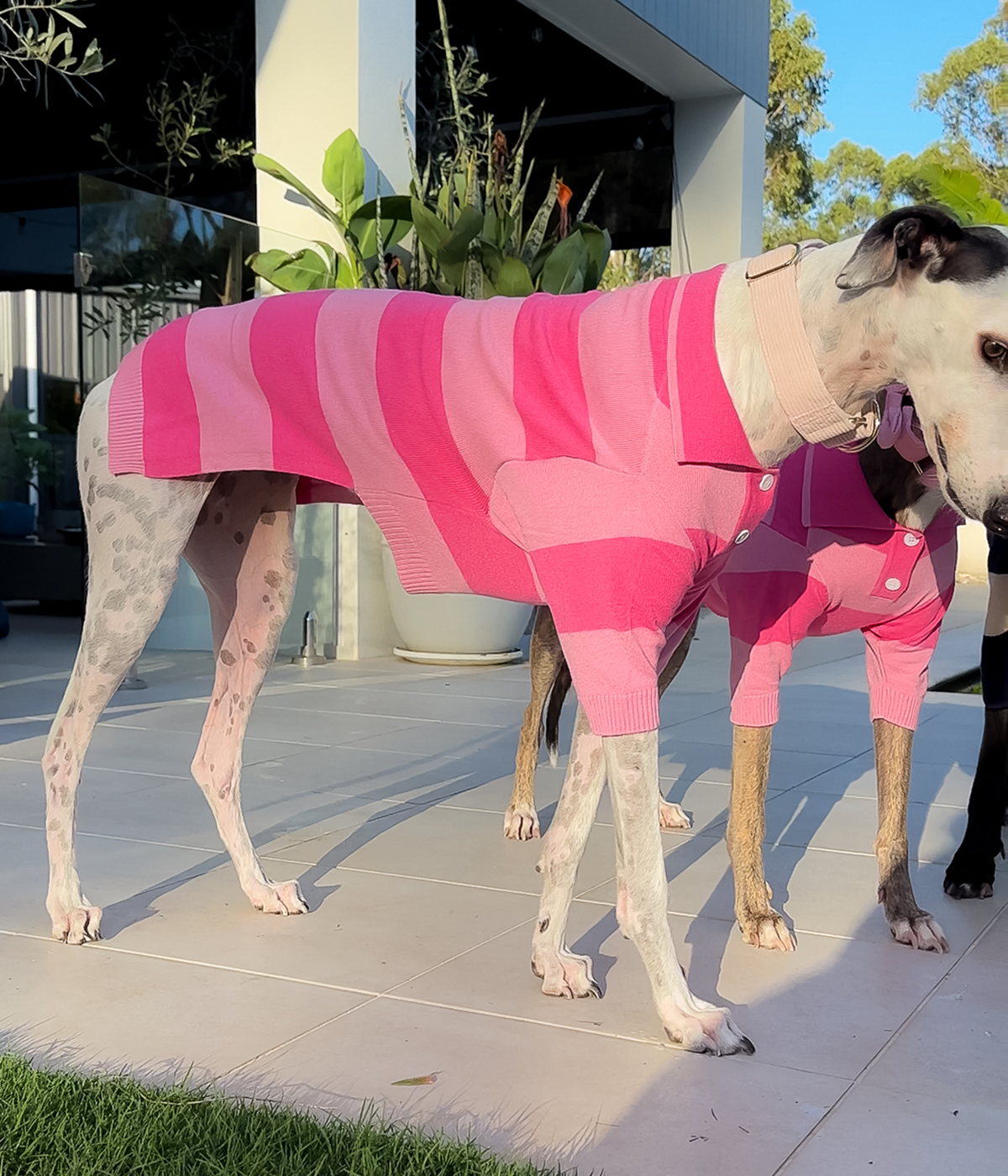 Elle Woods Pink Polo