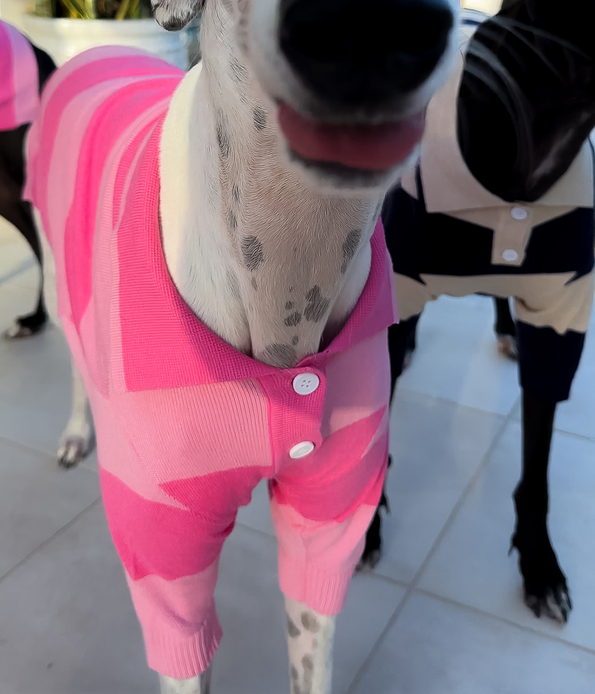 Elle Woods Pink Polo