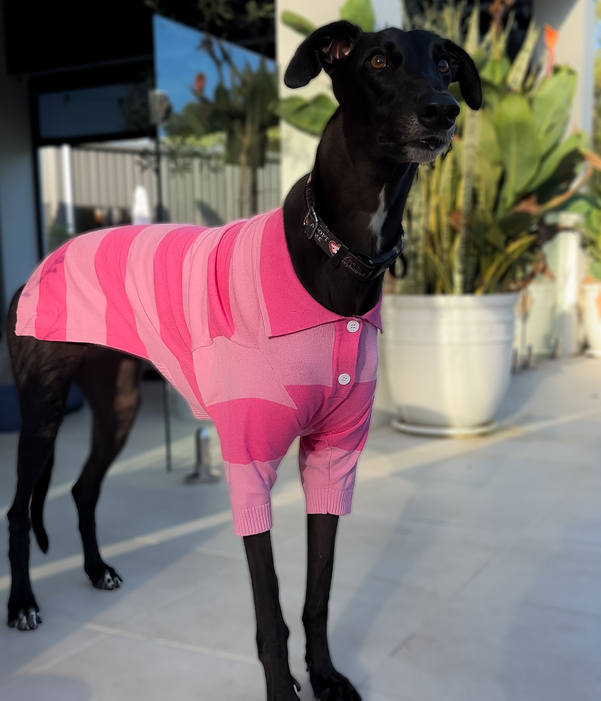 Elle Woods Pink Polo
