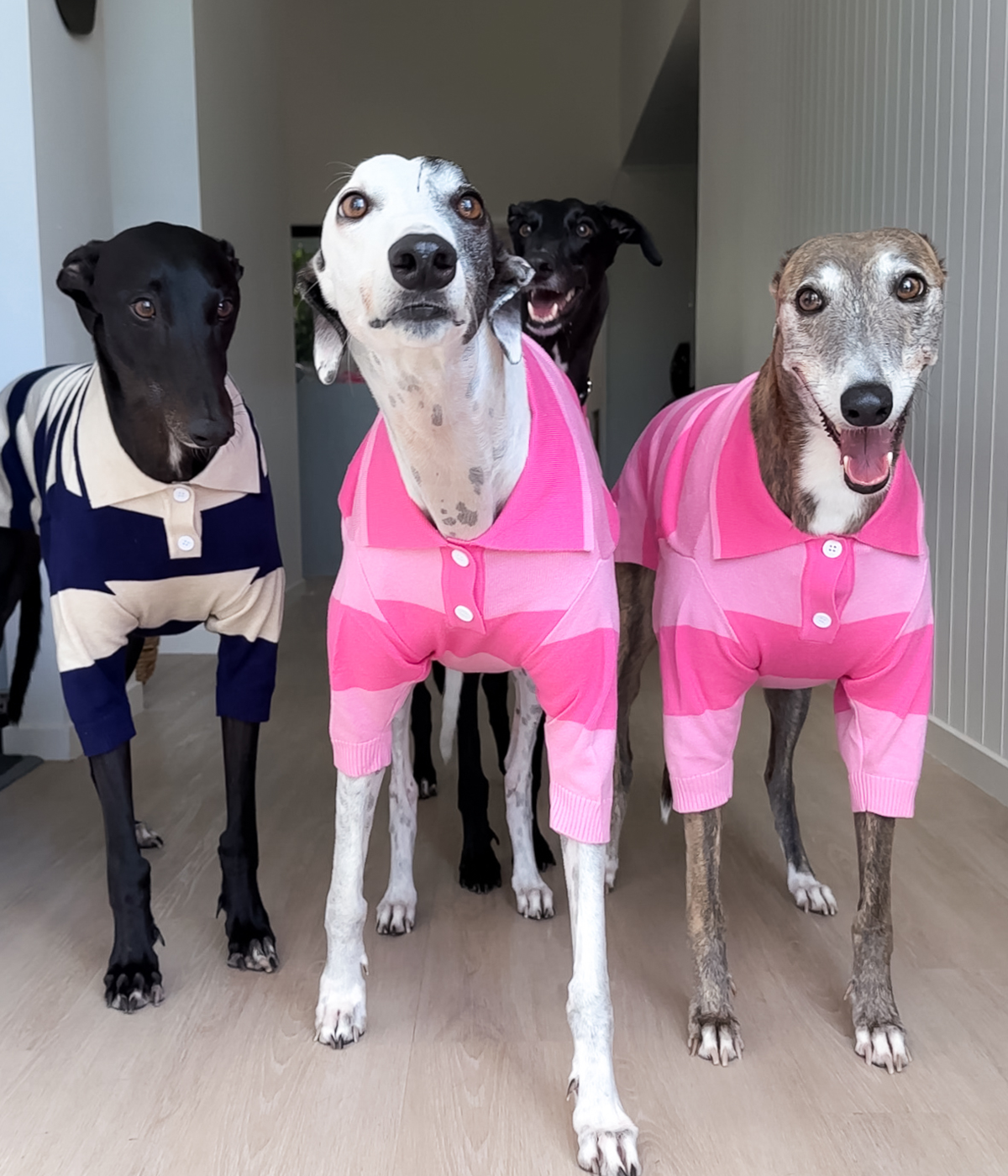 Polo Shirt - Elle Woods Pink